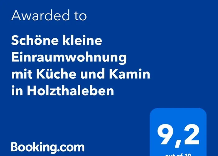 Schöne kleine Einraumwohnung mit Küche und Kamin in Holzthaleben