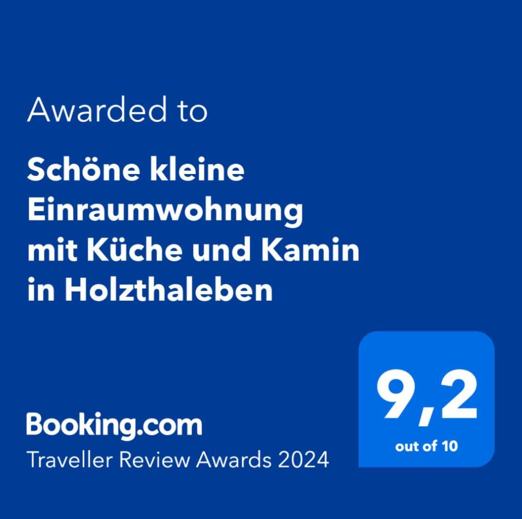 Apartment Schöne Kleine Einraumwohnung Mit Küche Und Kamin In Holzthaleben *